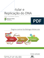 Ciclo celular e replicação do DNA