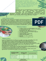 Articulo de Divulgación Comparación de Producción de Biogas A Traves de Codigestión de Estiercol de Caballos y Materia Orgánica