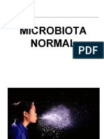 Microbiota II (1)