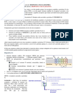 Tema 1.2 BQ Examen