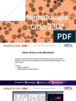 Caso Hema 2302