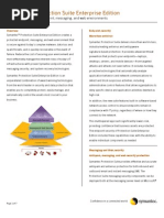 B-Symantec Protection Suite Ee 20024156 2