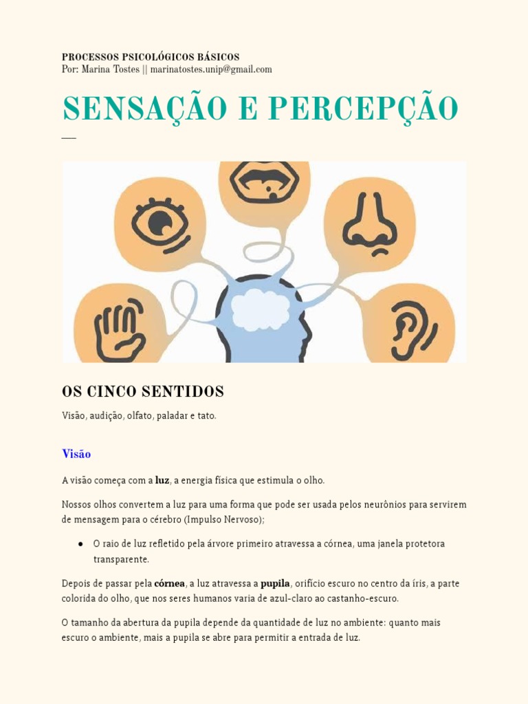 Sensação e Percepção | PDF | Orelha | Sistema visual