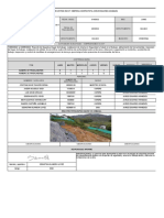 Informe SST Consorcio Cameguadua