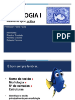 Material de Apoio - Prática (PDF) .PDF Versão 1