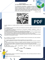 Lista de Questões - Ácido Nucleico e Síntese Proteica (Lista 1)