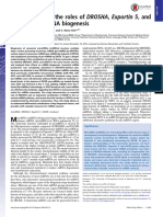 2016-Reevaluation of The Roles of DROSHA, Exportin 5, and DICER in MiRNA Biogenesis