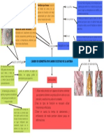 Cambio de Geometría Por Cambio de Estado de La Materia