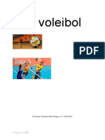 Voleibol