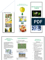 Triptico Biotecnologia Verde