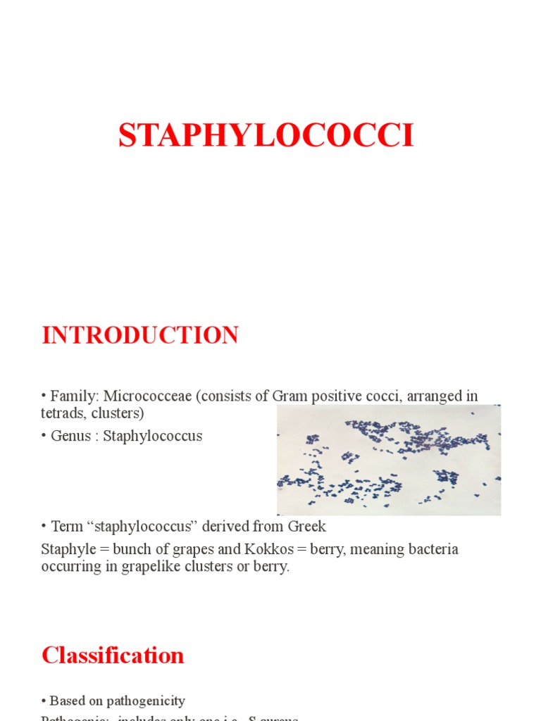 STAPHYLOCOCCI PDF Staphylococcus Medical Specialties