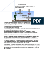 CYCLE DE L - AZOTE - PDF Version 1
