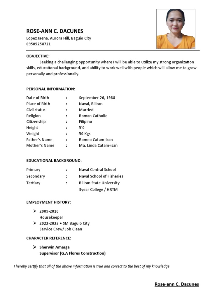 Resume Layout PDF