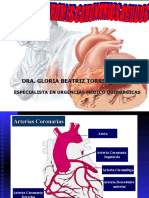 Angina inestable y diagnóstico del infarto agudo de miocardio