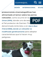 ¿Representan un riesgo los perros pitbulls y rottweilers para que se prohíba su ingreso al Malecón  Comunidad  Guayaquil  El