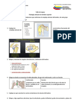 Taller de Repaso Miembro Superior 2022