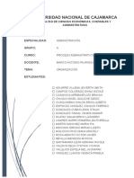 Organización - Proceso Administrativo