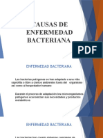 03 Causas de Enfermedad Bacteriana