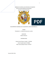 Diagnóstico de Carapongo: Factores de urbanización y cambios sociales