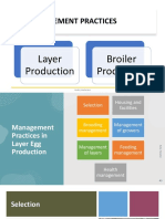 Management Practices in Layer Egg Production