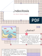 Endocitosis - Ana Goretti Moreno