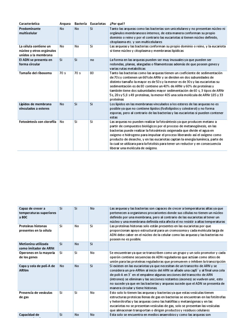 Diferencias entre Arqueas y Bacterias | PDF | Archaea | Las bacterias