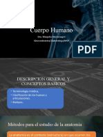 Anatomia Cuerpo Humano Generalidades