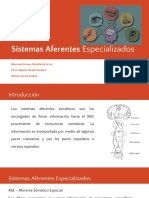 Sistemas Aferntes Especializados