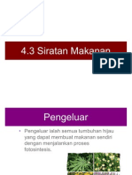 Sc f2 c4.3 Food Web-pptx