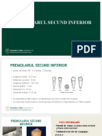 Premolar 2 Inf Curs