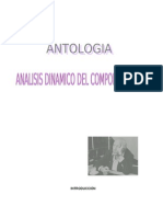 antologia Analisis Dinamico