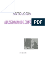 Antologia Analisis Dinamico