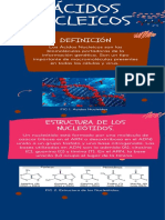 Infografía - Ácidos Nucleicos