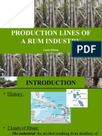 Production Lines of A Rum Industry: Lucie Pieton