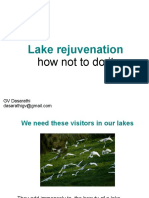 How Not To Rejuvenate Lakes