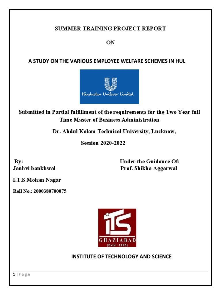 Hindustan Unilever Pdf Download Free Pdf Business