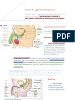 L'organisation Des Appareils Reproducteurs