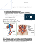 Tema 5 Aparato Excretor