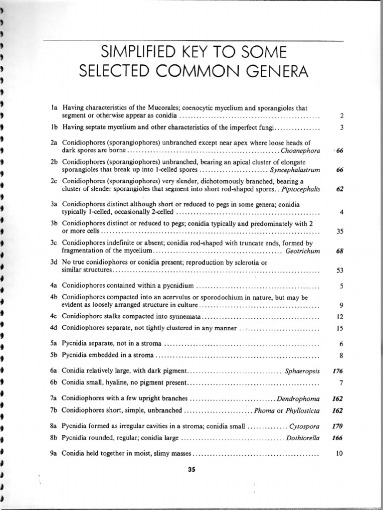 Illustrated Genera of Imperfect Fungi 2 | PDF