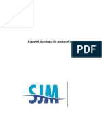 Etude de Marche Entreprise SJM Flex