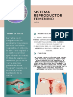 Sistema Reproductor Femenino Infografia
