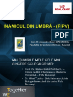 Inamicul Din Umbra - PIF