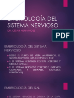 Embriología Del Sistema Nervioso. Presentación.