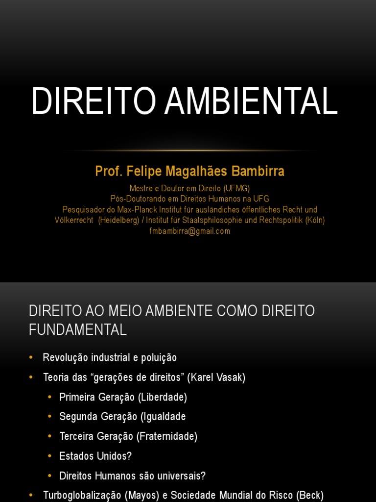 SIRVINSKAS LU S PAULO MANUAL DE DIREITO AMBIENTAL PDF visual data 4