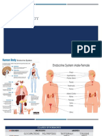 Endocrinology