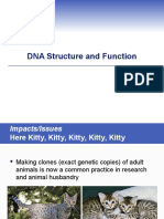 DNA Structure and Function