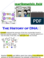 Central Dogma DNA RNA Protein Lecture