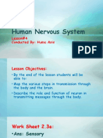 Nervous System #4