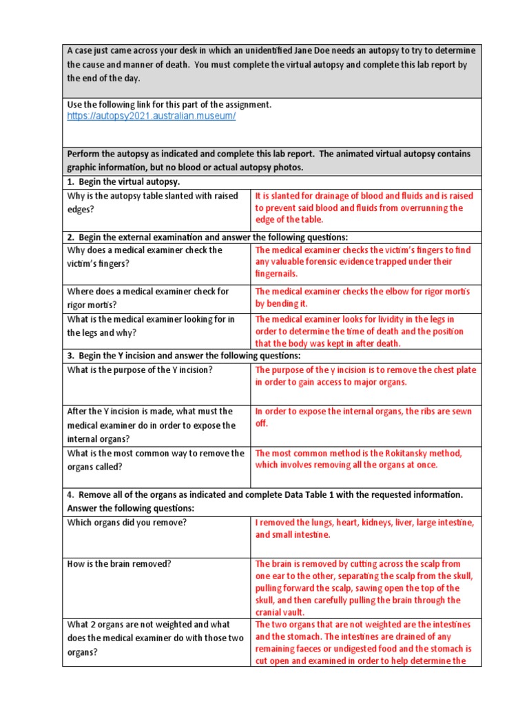 Foolio Autopsy Questions Raised By The Official Report - 4evdt45