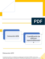 Biotecnología Molecular-Expo1